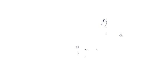 Sharm dive experts 2 e1768253502580