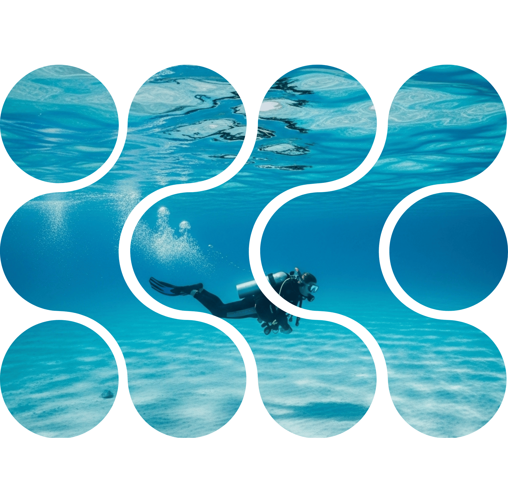 6