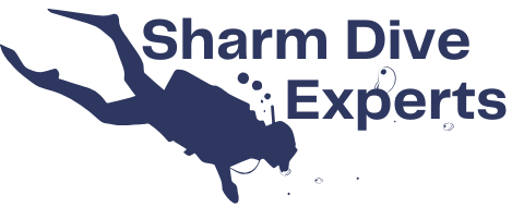Sharm Dive Experts
